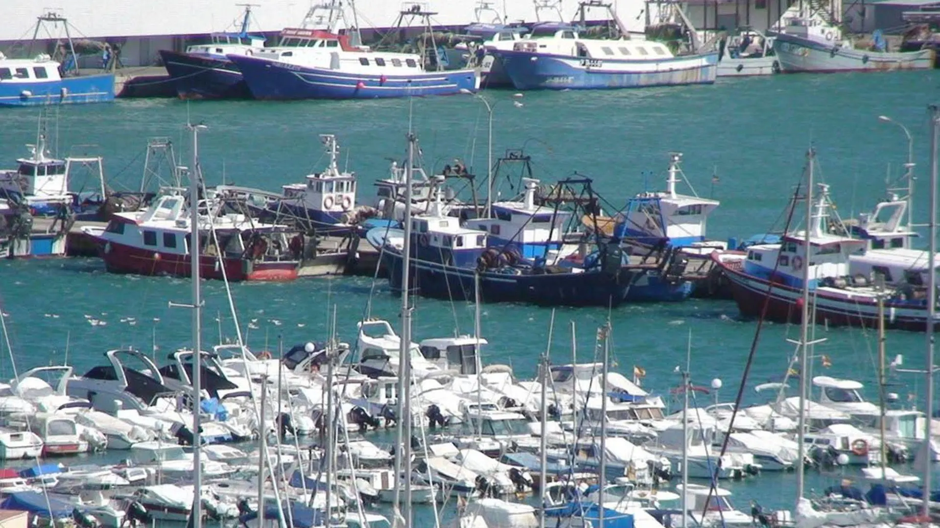Hotel Del Port Sant Carles De La Rapita